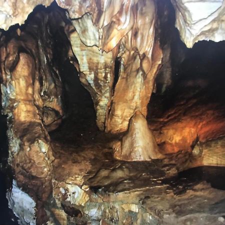 Apartman 21 Daire Loučná nad Desnou Dış mekan fotoğraf