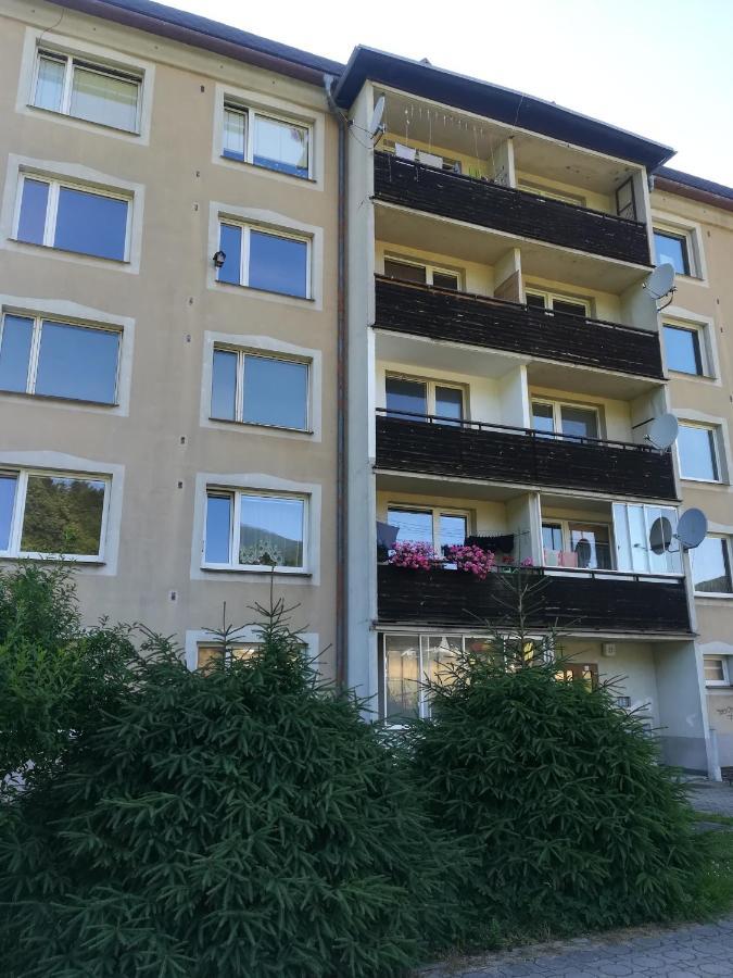 Apartman 21 Daire Loučná nad Desnou Dış mekan fotoğraf